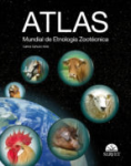 Atlas vignette