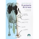 El Periparto de la Vaca vignette