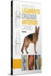 Avances en el ligamento cruzado anterior canino vignette