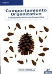 Comportamiento organizativo vignette