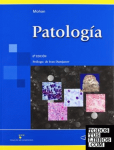 Patología vignette