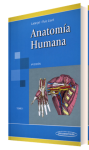 Anatomía humana vignette