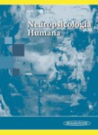 Neuropsicología humana vignette