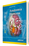 Anatomia humana vignette