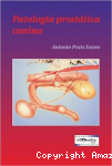 Patología Prostática Canina vignette