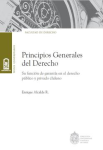 Principios generales del derecho vignette