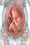 El embarazo vignette