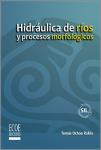 Hidráulica de ríos y procesos morfológicos vignette