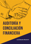 Auditoria y conciliación financiera vignette