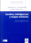 Cerebro, inteligencias y mapas mentales vignette