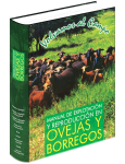 Manual de explotación y reproducción en ovejas y borregos vignette