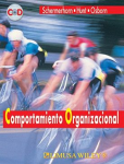 Comportamiento organizacional vignette
